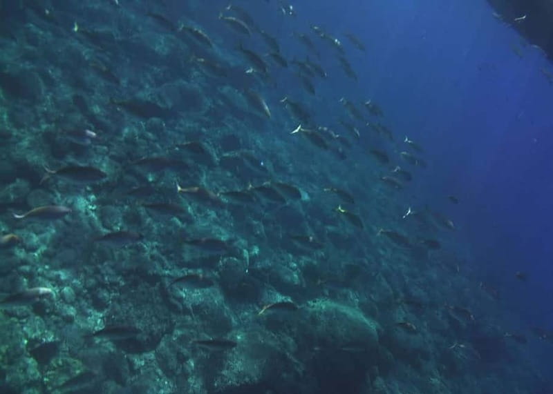 Giardini Naxos Taormina: Dolphin Watching Sunset Tour - Taormina sunset over Etna: why this timing matters