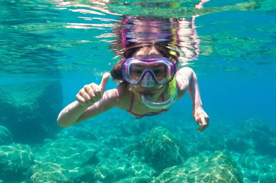 Golfo Aranci: Dolphin Watching and Snorkeling Boat Tour - Key Things That Make This Dolphin and Snorkeling Boat Tour Worth Your Time