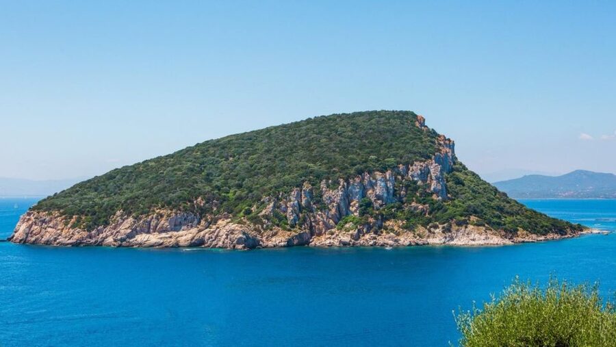 Golfo Aranci: Dolphin Watching and Snorkeling Boat Tour - Setting Off From Golfo Aranci and Aiming for Cape Figari
