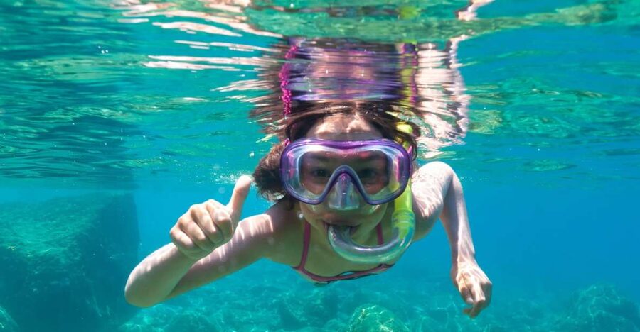 Golfo Aranci: Dolphin Watching and Snorkeling Boat Tour - Cruising Past Figarolo, Then Switching From Watching to Swimming