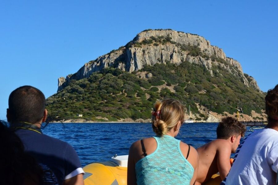 Golfo Aranci: Dolphin Watching and Snorkeling Boat Tour - Price and Value: Is $82 a Fair Deal?
