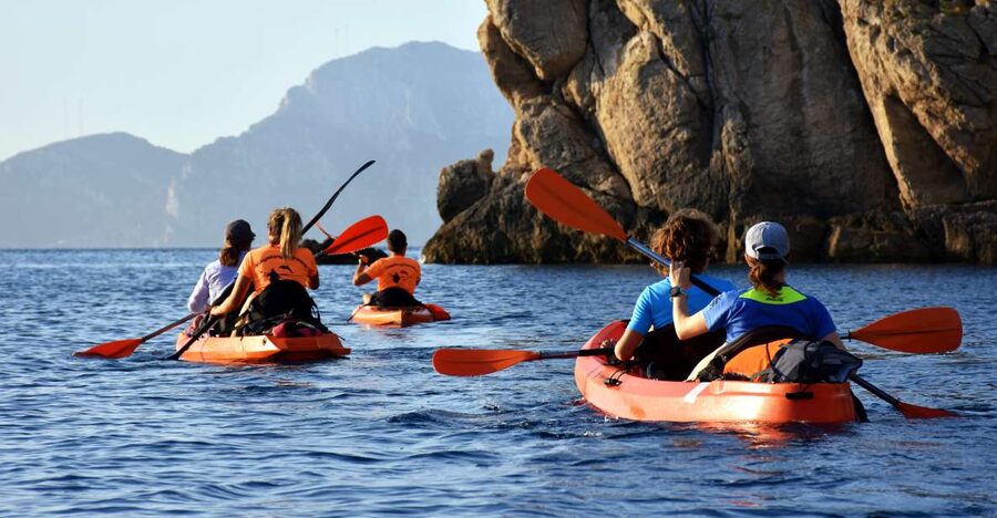 Golfo Aranci: Kayak Tour with Dolphins and Aperitif - Dolphins Near the Fish Farm: What to Expect Without the Pressure
