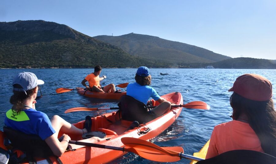 Golfo Aranci: Kayak Tour with Dolphins and Aperitif - Figarolo Aperitif on the Beach: Sardinia, Not a Tourist Stop