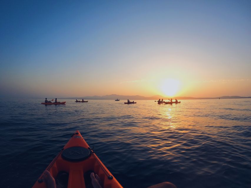 Golfo Aranci: Kayak Tour with Dolphins and Aperitif - Who This Kayak and Dolphin Tour Fits Best