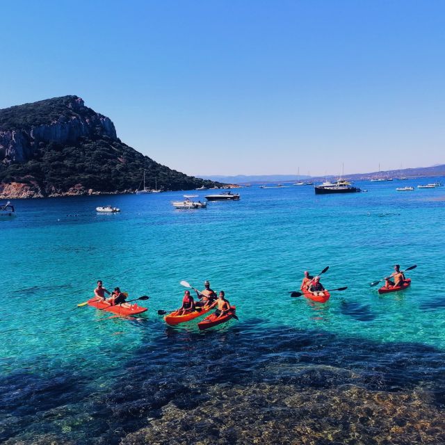 Golfo Aranci: Kayak Tour with Dolphins and Aperitif - Paddling the Route to Cala Moresca and Figarolo