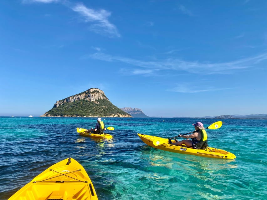 Golfo Aranci: Small group Kayak tour with Aperitif &dolphins - Dolphin watching near the fish farm, with time to actually look