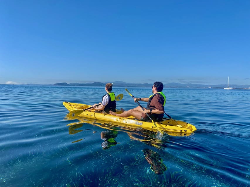 Golfo Aranci: Small group Kayak tour with Aperitif &dolphins - Price and value: does $58 make sense here?