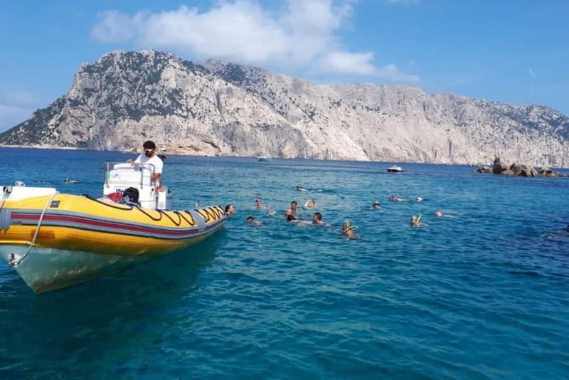 Golfo Aranci: Tavolara and Molara Snorkeling Dinghy Tour - Who This Tour Suits Best, and Who Should Rethink It
