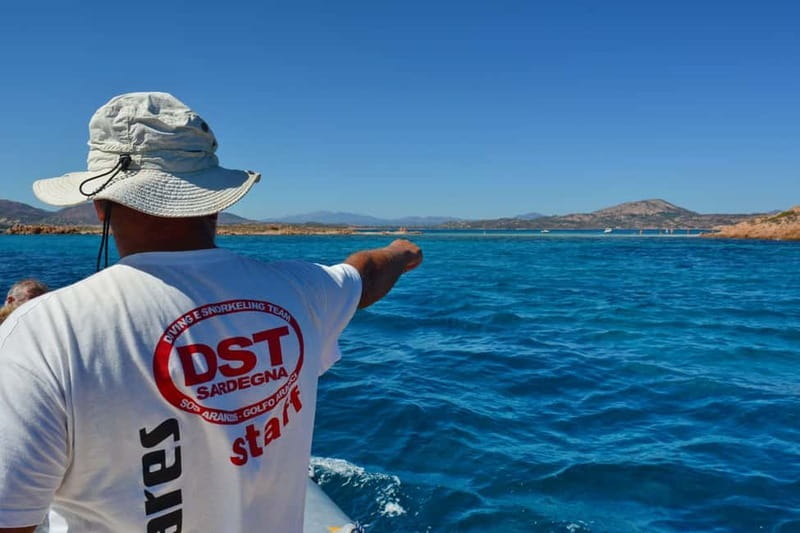 Golfo Aranci: Tavolara and Molara Snorkeling Dinghy Tour - Molara Island Natural Pools, Fish Encounters, and the Best Time Underwater