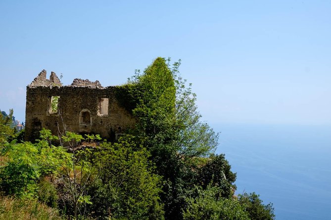 Guided Day Hike on the Path of the Gods with Sorrento Transfer - Guide Talk That Turns Coordinates Into Stories