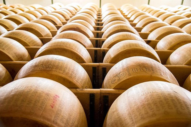 Guided group tour TastyBus: Parmesan Cheese and Parma Ham - Why this Parma food tour makes sense for real food lovers