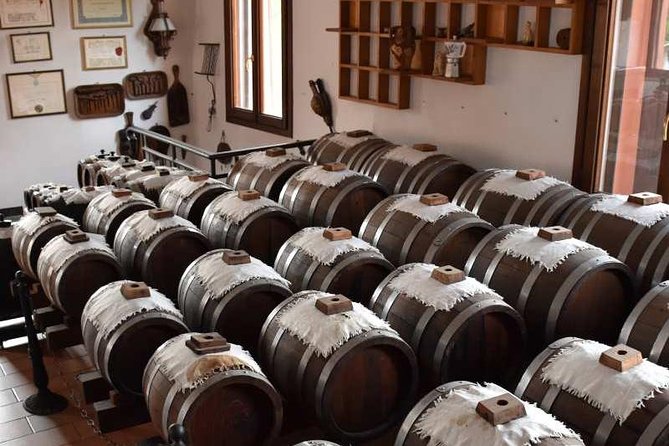 Guided group tour TastyBus: Parmesan Cheese and Parma Ham - Parmigiano Reggiano PDO: from milk basics to aging you can taste