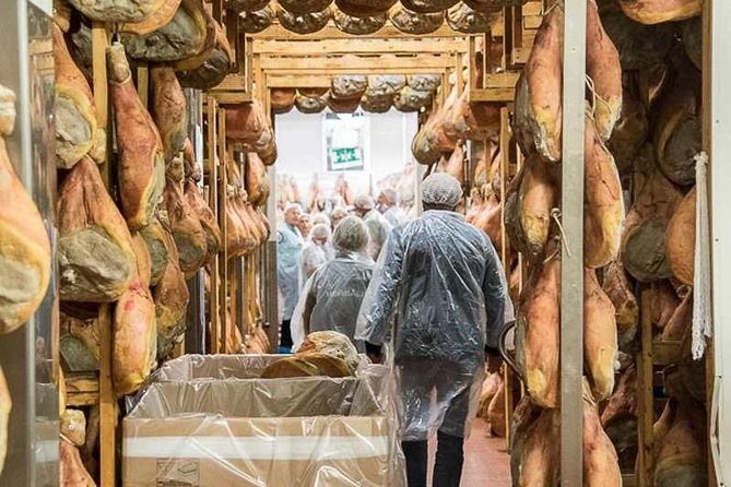 Guided group tour TastyBus: Parmesan Cheese and Parma Ham - Full-day option: trattoria lunch plus traditional balsamic tasting