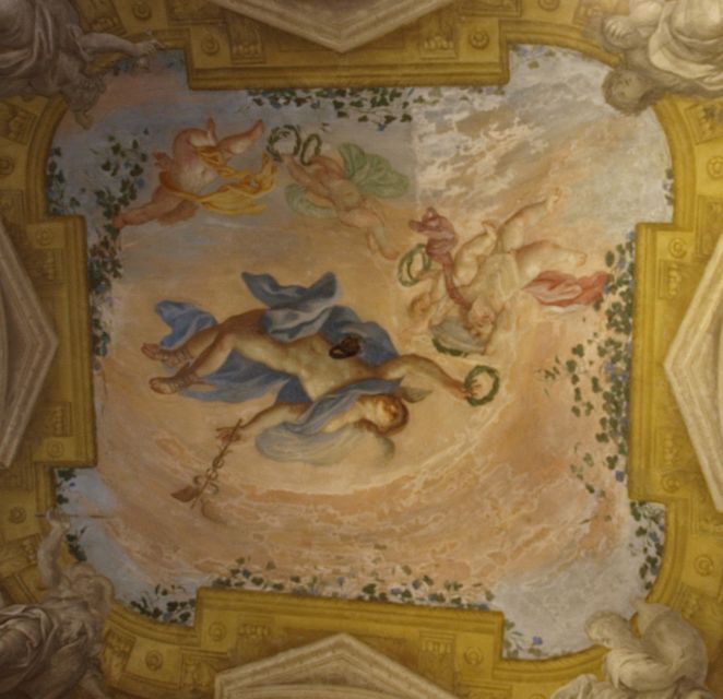 Guided Tour of Rolli Palaces UNESCO Site, Genoa - Who should book this Rolli Palaces tour