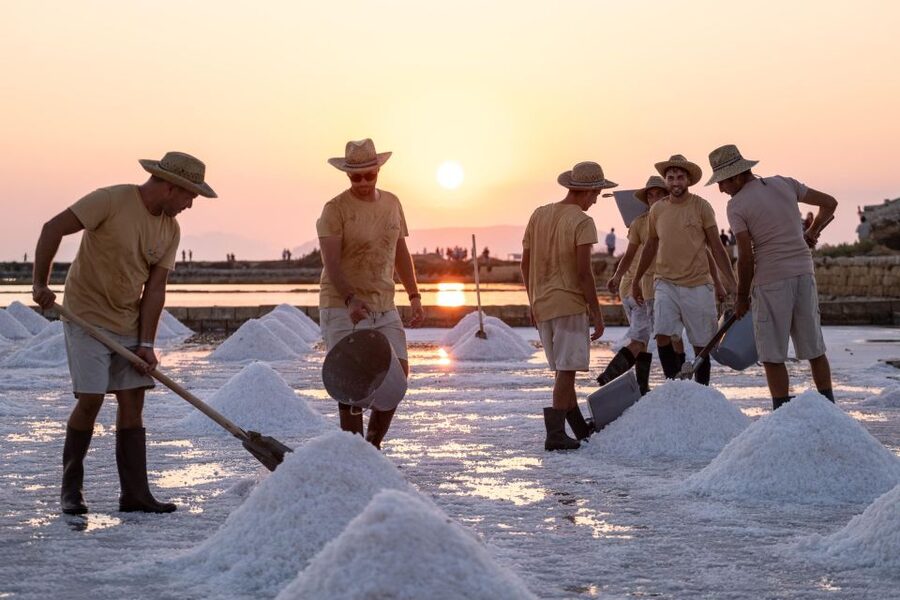 Guided tour of the Trapani Salt Pans and Salt Museum - Salt pans in Trapani feel like a working landscape, not a museum prop