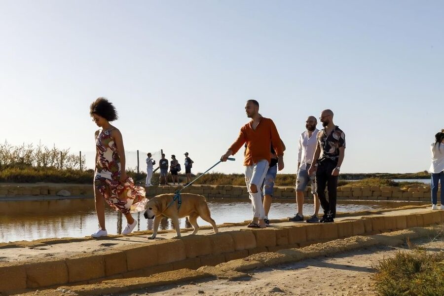 Guided tour of the Trapani Salt Pans and Salt Museum - Who this salt pan tour is best for