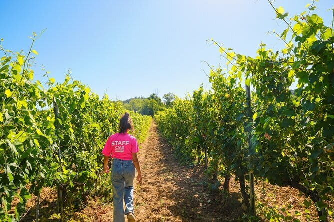 Half day Chianti Vineyard Escape from Florence with Wine Tastings - Getting Out of Florence: Piazzale Montelungo, the Coach Ride, and the Gallo Nero Story