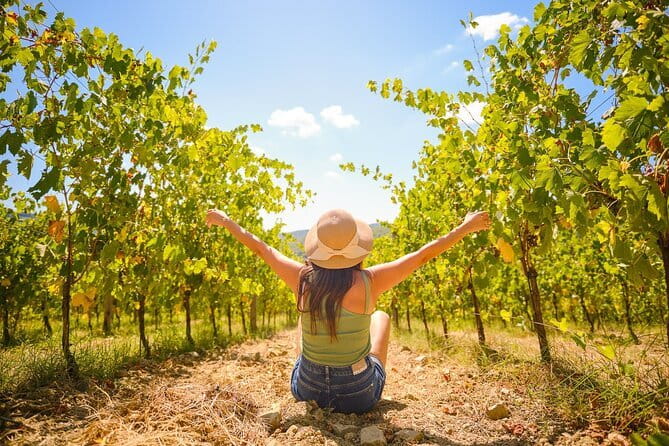 Half day Chianti Vineyard Escape from Florence with Wine Tastings - The Chianti Road Viewpoint: Why the Scenery Matters Even When You Only Stop Briefly