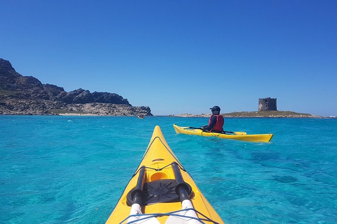 Half Day Sea Kayak Trip - Quick hits before you go