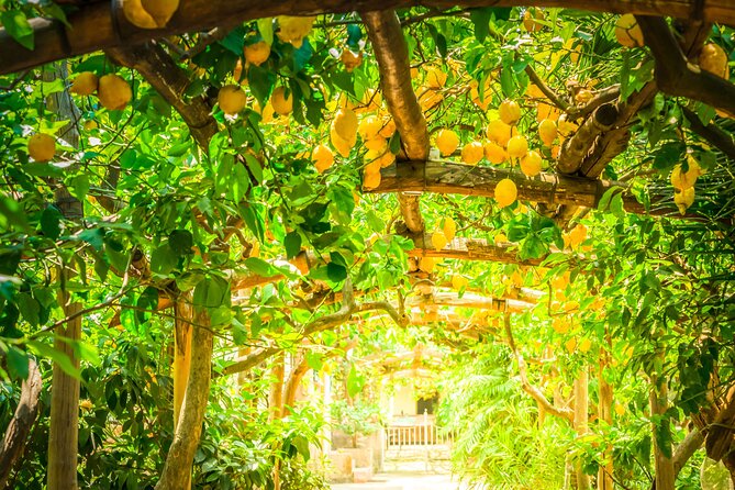 Hands-On Cooking Class & Farmhouse Tour on the Amalfi Coast - Recipes, cooking diploma, and why this is more than a one-time show