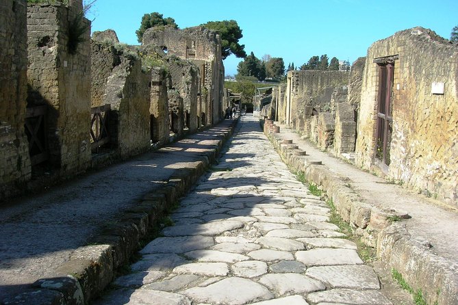Herculaneum Guided Group Tour from Naples - Naples to Herculaneum, the easy way