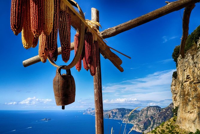 Hike The Path Of Gods from Sorrento - The Minivan to Bomerano: Vineyards, Terraces, and 650 Meters of Air