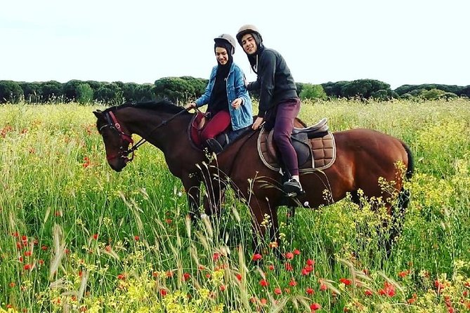 Horse Sanctuary & Trail Ride in Ostia Antica - Cavalieri di Gaia outside Rome: a different side of town
