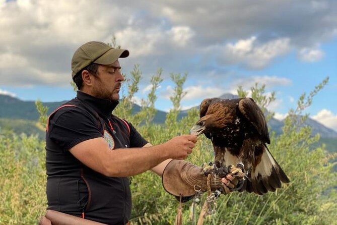 Interactive Educational Course on Birds of Prey - What you’re actually doing for those 3 hours