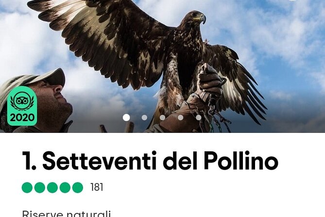 Interactive Educational Course on Birds of Prey - Language, tickets, and the “you’ll need this” basics