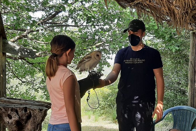 Interactive Educational Course on Birds of Prey - Price and value: what $42.34 buys you