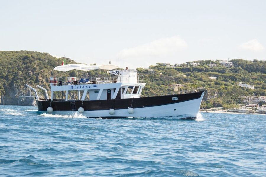 Ischia: Island Boat Tour with Neapolitan Lunch & Snorkeling - Green Cave and Lunch: The Part You Will Remember