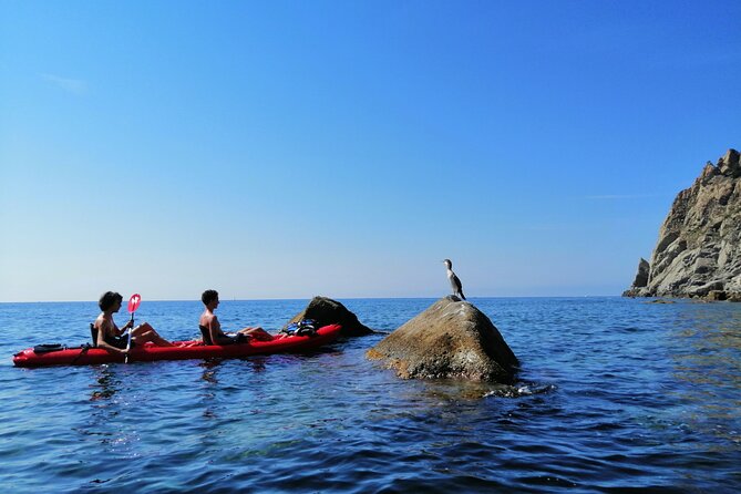 Kayak experience with Carnassa Tour in Cinque Terre + Snorkeling - The coastline experience: caves, waterfalls, and caves you can only see from offshore