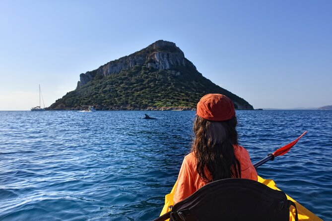 Kayak tour with aperitif and dolphins - Key highlights you should care about