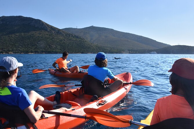 Kayak tour with aperitif and dolphins - From the Baracconi beach to the coves near Cala Moresca