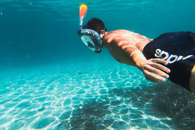 Kayak tour with aperitif and dolphins - Snorkel safety and footwear for Figarolo’s rocky shore