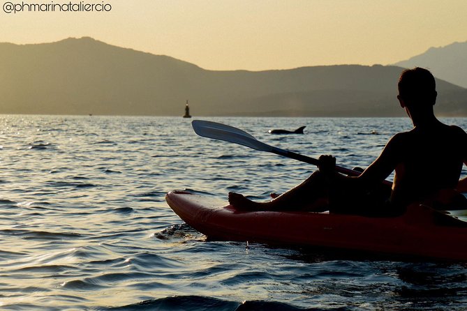 Kayak tour with aperitif and dolphins - Dolphins, photos, and what you’ll remember most