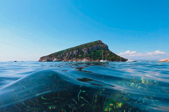 Kayak tour with aperitif and dolphins - Price and value: what $54.42 buys you in real terms