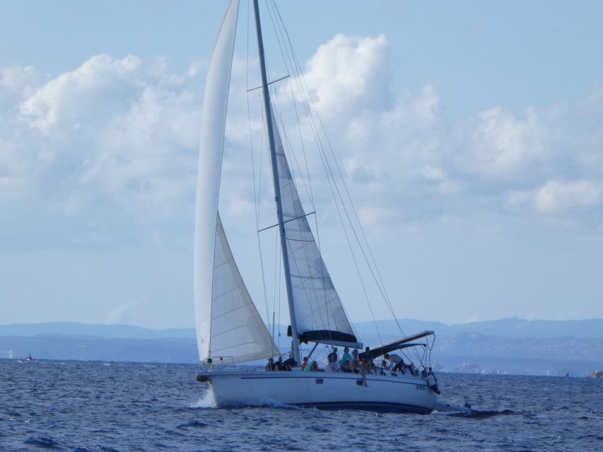 La Maddalena: Full-Day Sailing Trip - Why This La Maddalena Sailing Day Feels Like Real Sardinia Value
