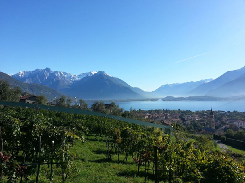 Lake Como: Winery Tour with Wine Tasting - Who should book this tour, and who might skip it