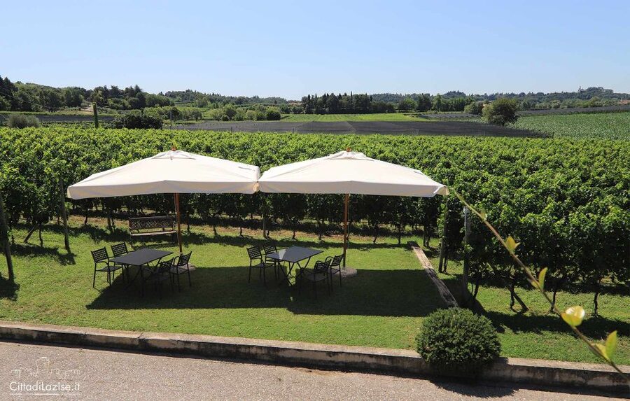 Lake Garda: Wine and Food Tastings in the Vineyards - Practical Planning Tips for Your Lake Garda Evening