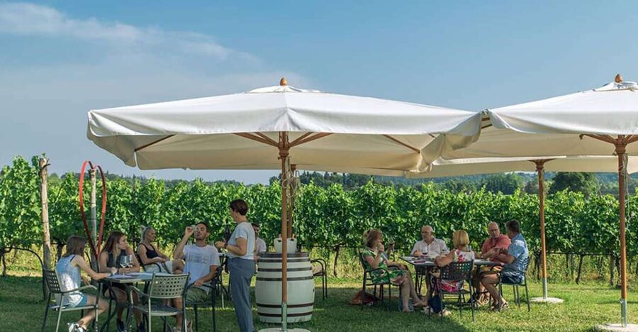 Lake Garda: Wine and Food Tastings in the Vineyards - Why Lazise Vineyards Make This Tasting Work
