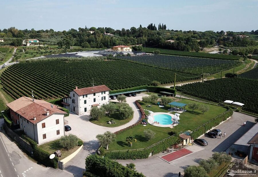 Lake Garda: Wine and Food Tastings in the Vineyards - The Olive Oil Tasting on Toasted Bread
