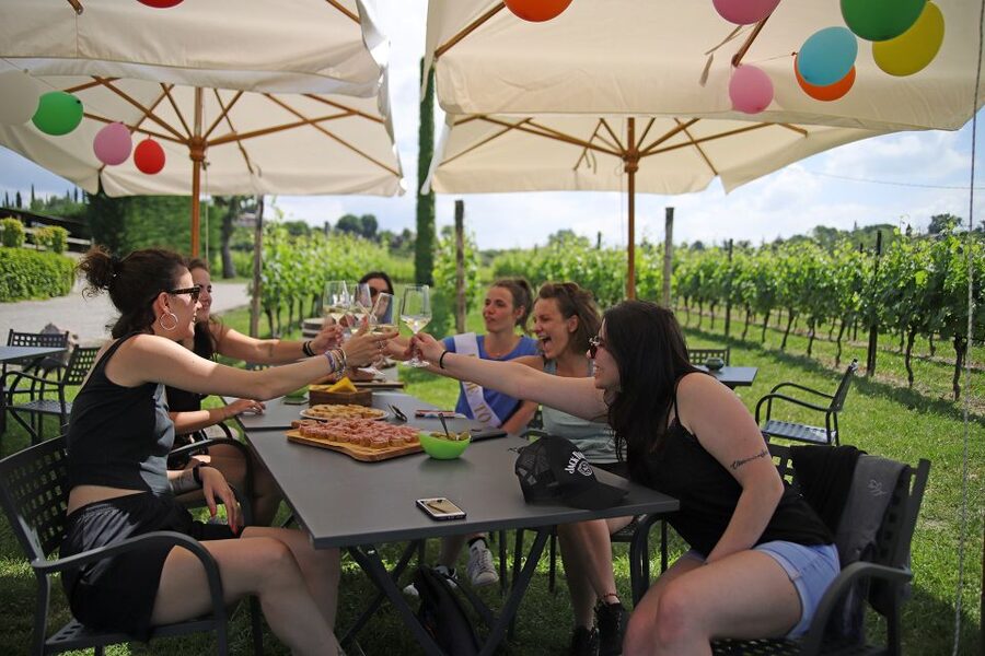 Lake Garda: Wine and Food Tastings in the Vineyards - Hosts, Atmosphere, and the Outdoors Factor