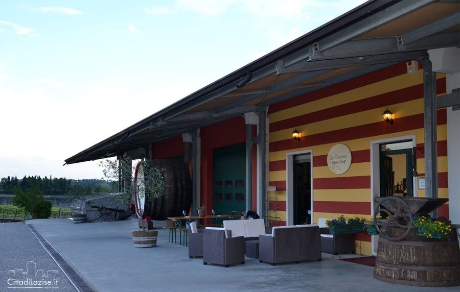 Lake Garda: Wine and Food Tastings in the Vineyards - Who Should Book This Tasting, and Who Might Skip It
