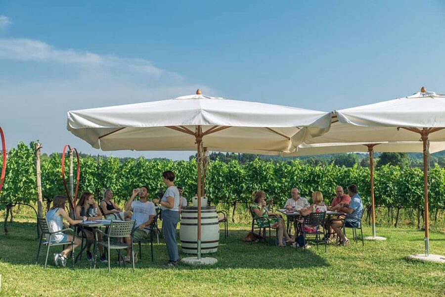 Lake Garda: Wine and Food Tastings in the Vineyards - Your Two-Hour Flow: What Happens From Start to Finish