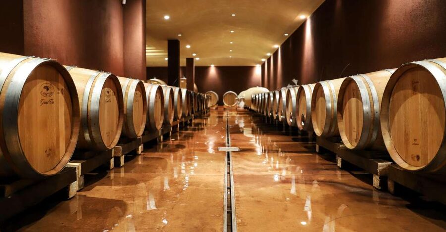 Lake Garda: Wine Tour and Tasting Experience in Bardolino - Key things that make this wine tour worth your time