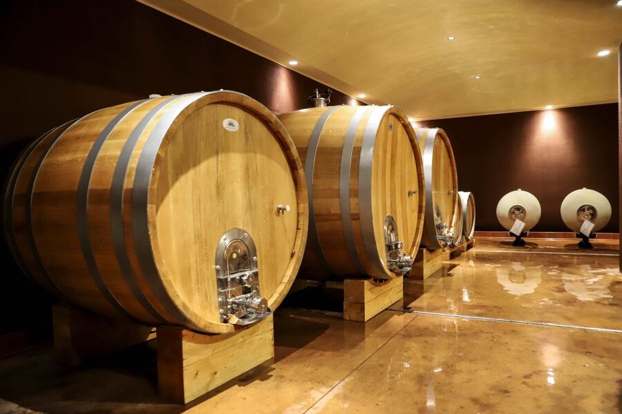 Lake Garda: Wine Tour and Tasting Experience in Bardolino - Should you book this Lake Garda wine tour at Tenuta La Cà?