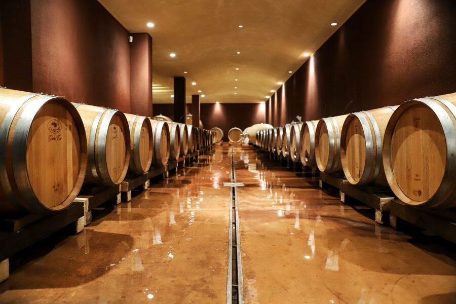 Lake Garda: Wine Tour and Tasting Experience in Bardolino - What the sommelier actually teaches you while you taste