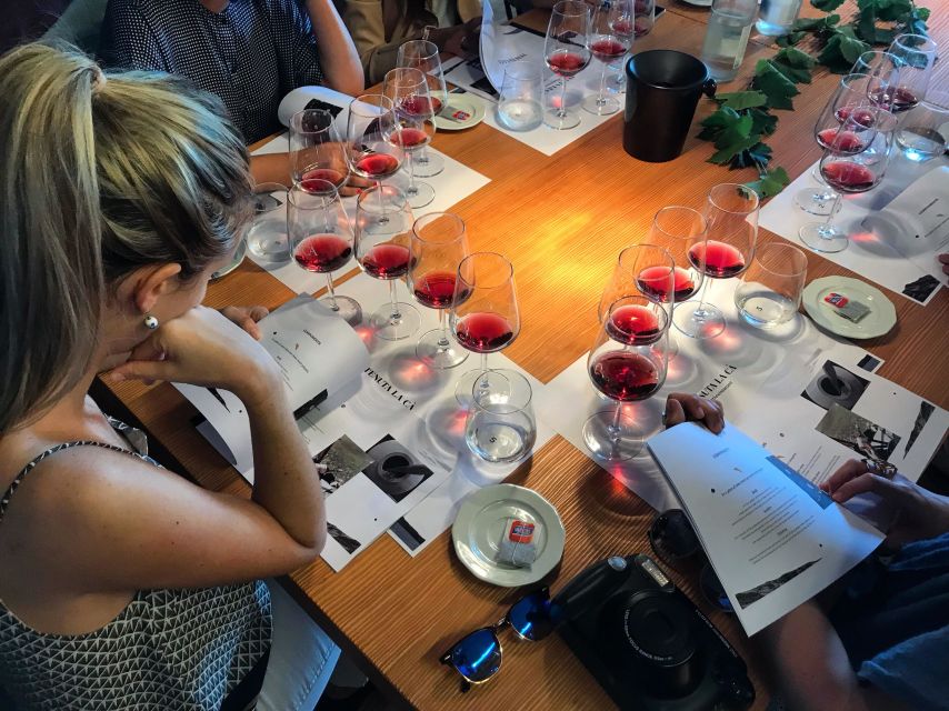 Lake Garda: Wine Tour and Tasting Experience in Bardolino - The 1.5-hour rhythm: cellar tour first, tasting right after