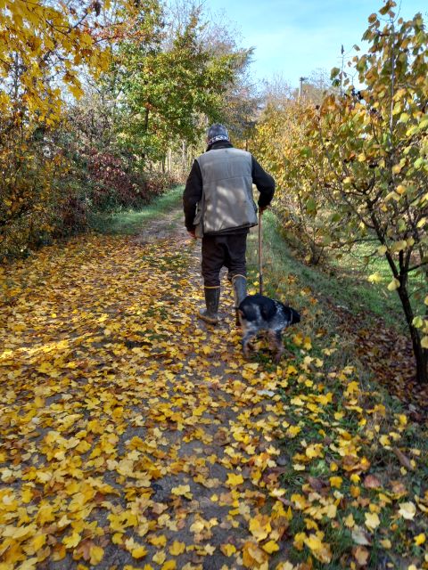 Langhe: Truffle Hunting Experience - FAQ